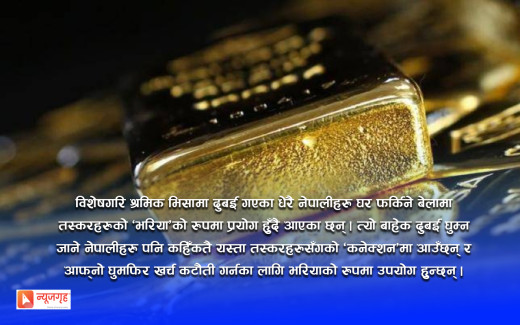 ‘तस्करी’ को सुनले पूरा गर्छ बजारको माग